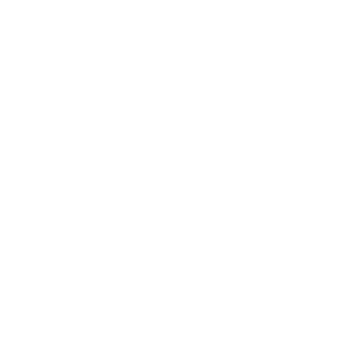 Globe icon symbolizing the ability to diversify and geographically distribute seed phrase backups using Yokis stainless steel plates.